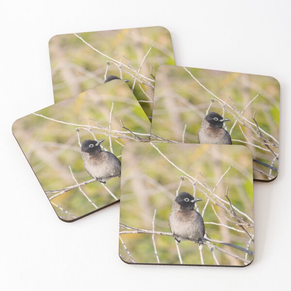 Item preview, Curious Songbird Resting on Bare Branches designed and sold by onubi.
