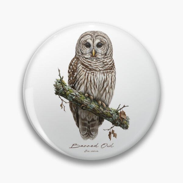 Item preview, Barred Owl on Rustic Branch designed and sold by Takeda-art.