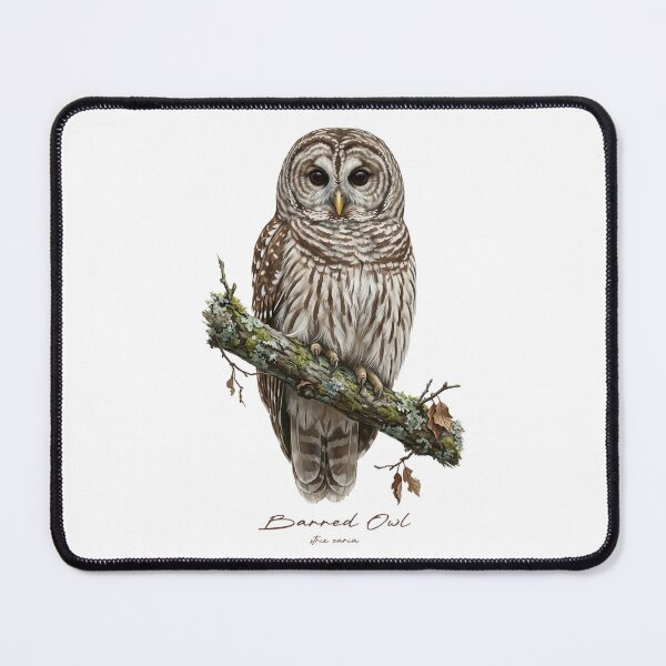 Item preview, Barred Owl on Rustic Branch designed and sold by Takeda-art.