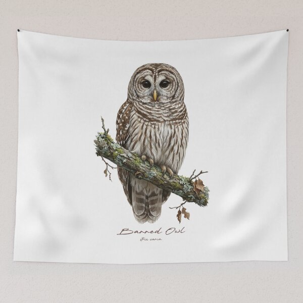 Item preview, Barred Owl on Rustic Branch designed and sold by Takeda-art.