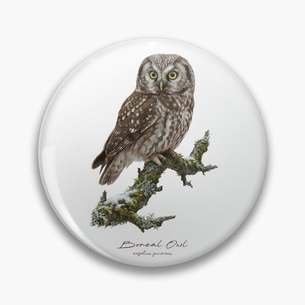 Item preview, Búho boreal en la rama musgosa designed and sold by Takeda-art.