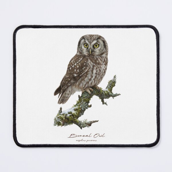 Item preview, Boreal owl on Mossy Branch designed and sold by Takeda-art.