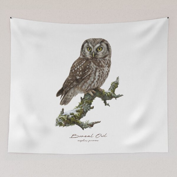 Item preview, Boreal owl on Mossy Branch designed and sold by Takeda-art.