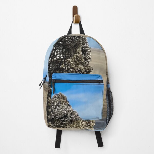 Item preview, The Ghost Forest at Neskowin State Beach, Oregon designed and sold by Trevor and Photos.