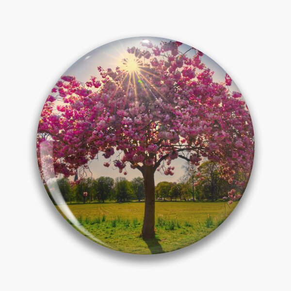 Item preview, Harrogate Cherry Blossom designed and sold by Alisonchambers2.
