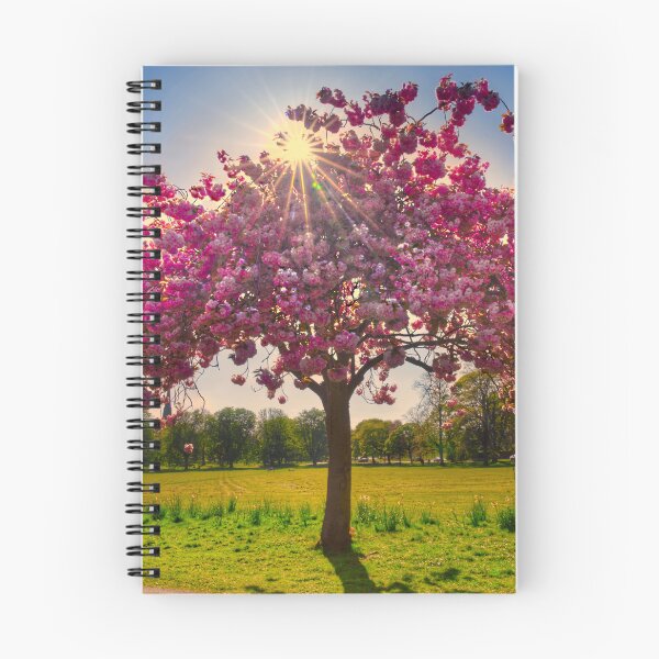 Item preview, Harrogate Cherry Blossom designed and sold by Alisonchambers2.