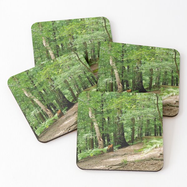 Item preview, Forest in Belgium in summer designed and sold by AsahiNoAme.