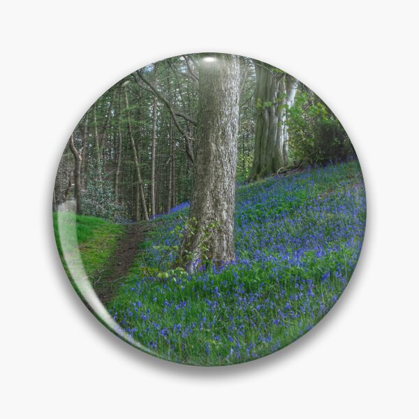 Item preview, Hardcastle Crags Bluebells designed and sold by Alisonchambers2.
