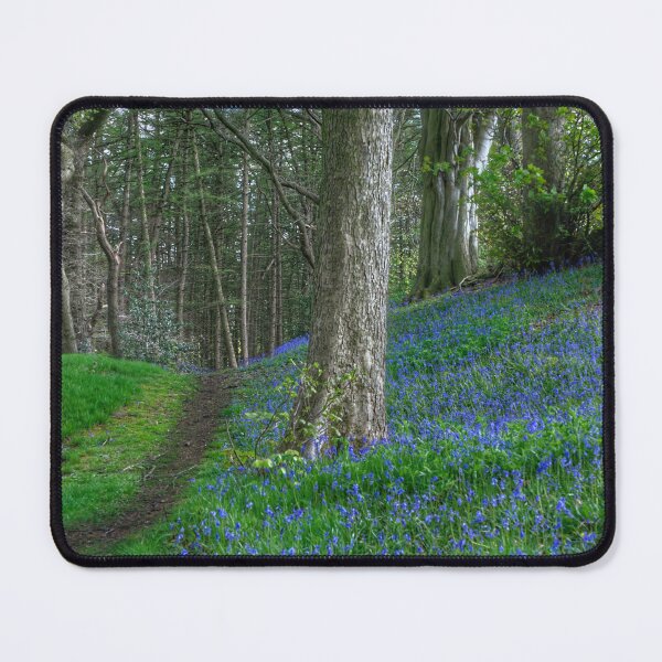 Item preview, Hardcastle Crags Bluebells designed and sold by Alisonchambers2.