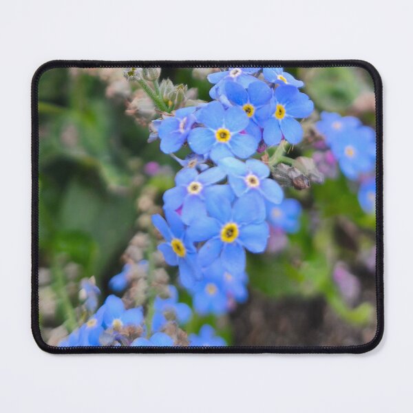 Item preview, Blue forget me not wildflower cluster bloom designed and sold by Kainicram.