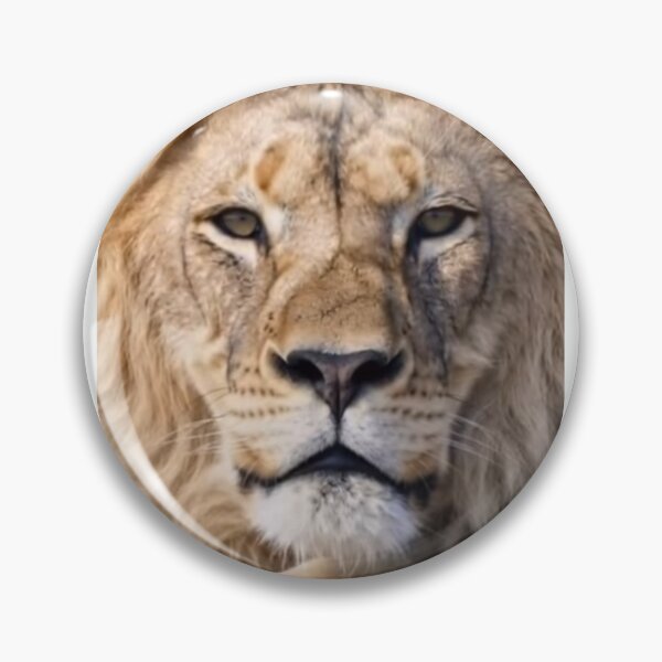 Item preview, Lion designed and sold by indbubble2020.