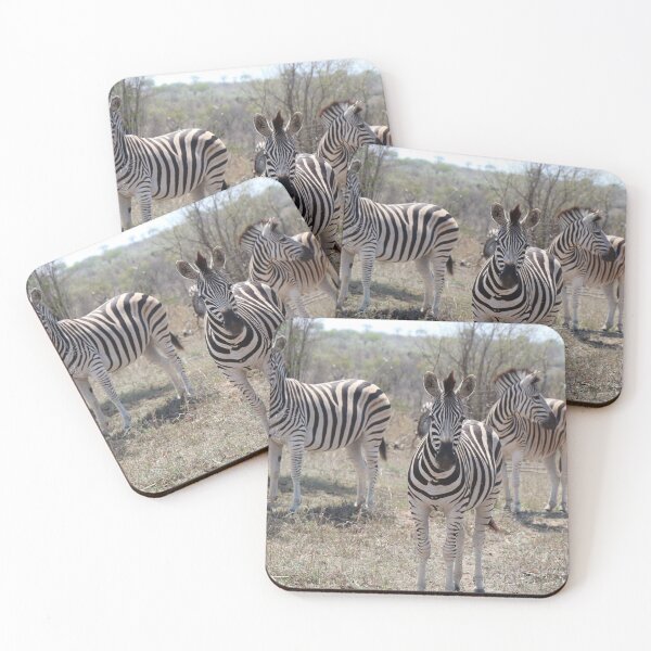 Item preview, Zebra designed and sold by TPerfect.
