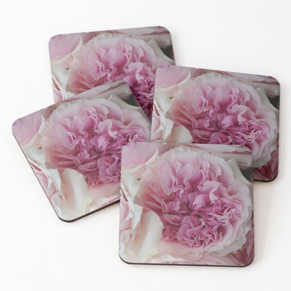 Item preview, Meet Miranda from the David Austin Rose Collection designed and sold by Loveisthebtwd.