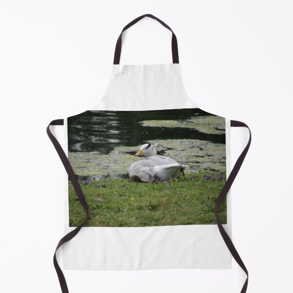 Item preview, Sunbathing Bar Headed Goose Photograph designed and sold by naturegallery.