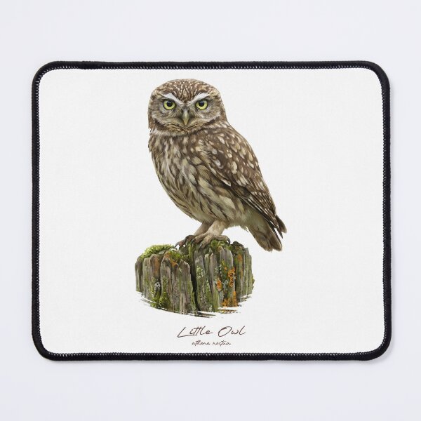 Item preview, Little Owl on Mossy Stump designed and sold by Takeda-art.