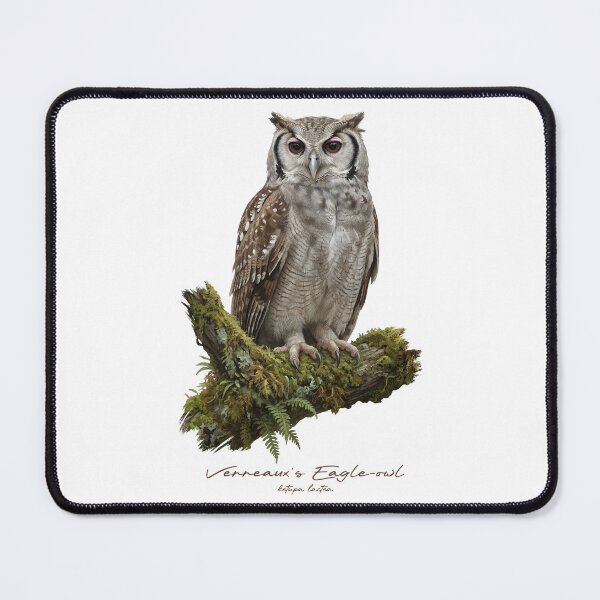 Item preview, Verreaux's Eagle-owl on Mossy Branch designed and sold by Takeda-art.