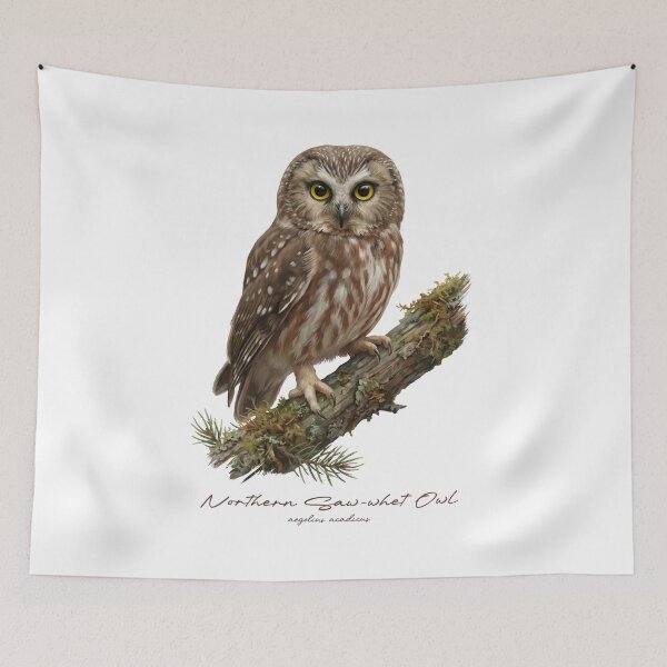 Item preview, Northern Saw-whet Owl on Mossy Branch designed and sold by Takeda-art.