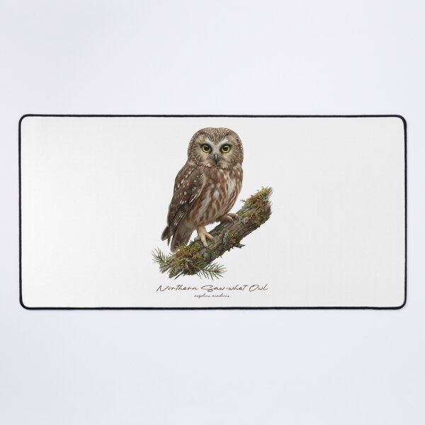 Item preview, Northern Saw-whet Owl on Mossy Branch designed and sold by Takeda-art.
