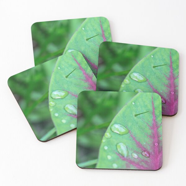 Item preview, Perseverance designed and sold by WildSide.
