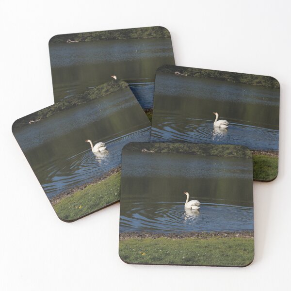 Item preview, Serenity on the Water: The Lone Swan designed and sold by Pickle Photography .