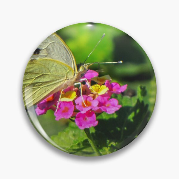 Item preview, Yellow Butterfly Feeding On Pink Wildflower In Lush Green Garden Macro Close-Up designed and sold by Nmallia.