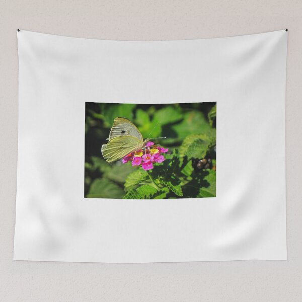 Item preview, Yellow Butterfly Feeding On Pink Wildflower In Lush Green Garden Macro Close-Up designed and sold by Nmallia.