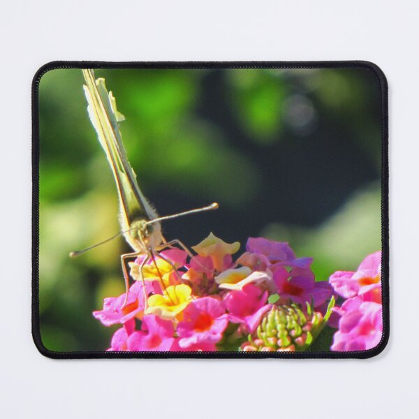 Item preview, Yellow Butterfly Feeding On Pink Wildflower In Lush Green Garden Macro Close-Up designed and sold by Nmallia.