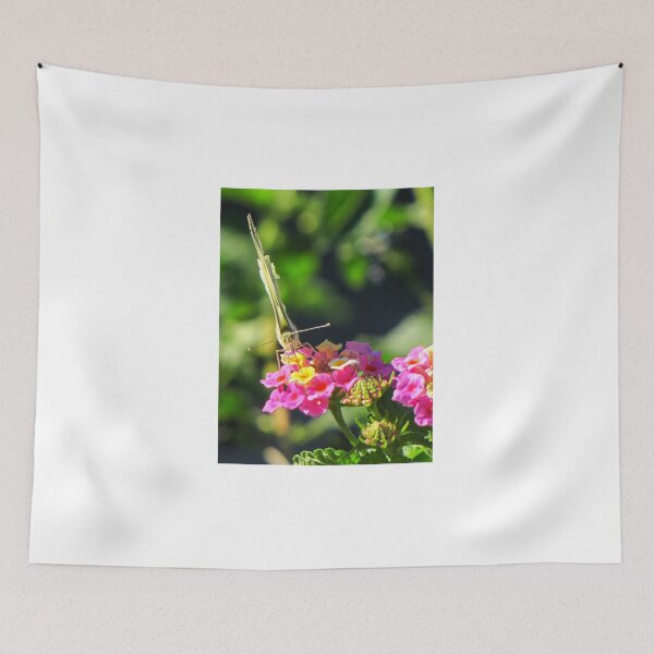Item preview, Yellow Butterfly Feeding On Pink Wildflower In Lush Green Garden Macro Close-Up designed and sold by Nmallia.
