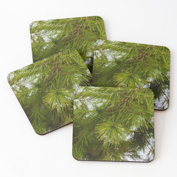 Item preview, Close-Up of Green Pine Needles on Evergreen Branch With Morning Dew in Forest designed and sold by Nmallia.