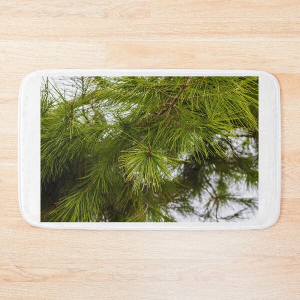 Item preview, Close-Up of Green Pine Needles on Evergreen Branch With Morning Dew in Forest designed and sold by Nmallia.