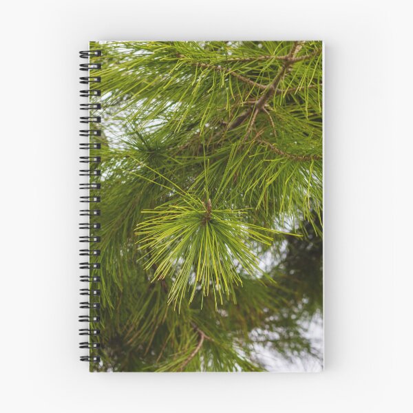 Item preview, Close-Up of Green Pine Needles on Evergreen Branch With Morning Dew in Forest designed and sold by Nmallia.