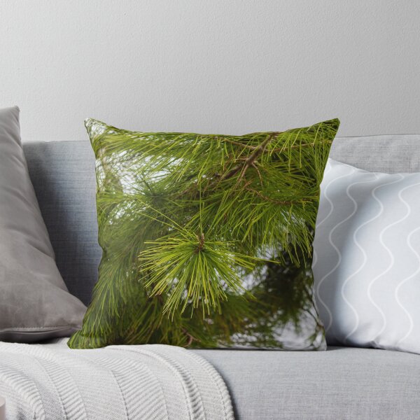 Item preview, Close-Up of Green Pine Needles on Evergreen Branch With Morning Dew in Forest designed and sold by Nmallia.