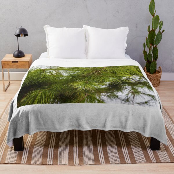 Item preview, Close-Up of Green Pine Needles on Evergreen Branch With Morning Dew in Forest designed and sold by Nmallia.