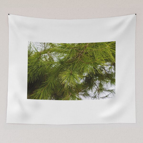 Item preview, Close-Up of Green Pine Needles on Evergreen Branch With Morning Dew in Forest designed and sold by Nmallia.