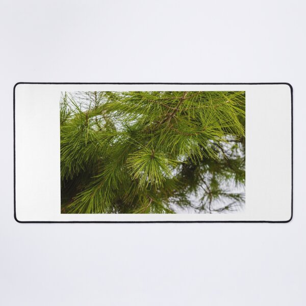 Item preview, Close-Up of Green Pine Needles on Evergreen Branch With Morning Dew in Forest designed and sold by Nmallia.