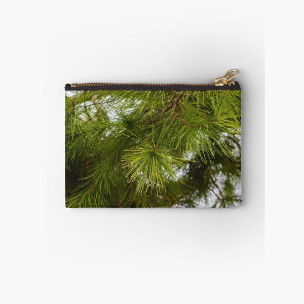 Item preview, Close-Up of Green Pine Needles on Evergreen Branch With Morning Dew in Forest designed and sold by Nmallia.
