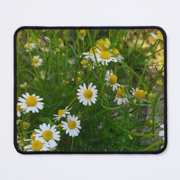 Item preview, Daisies in the Garden: Nature and Freshness designed and sold by katefndz.