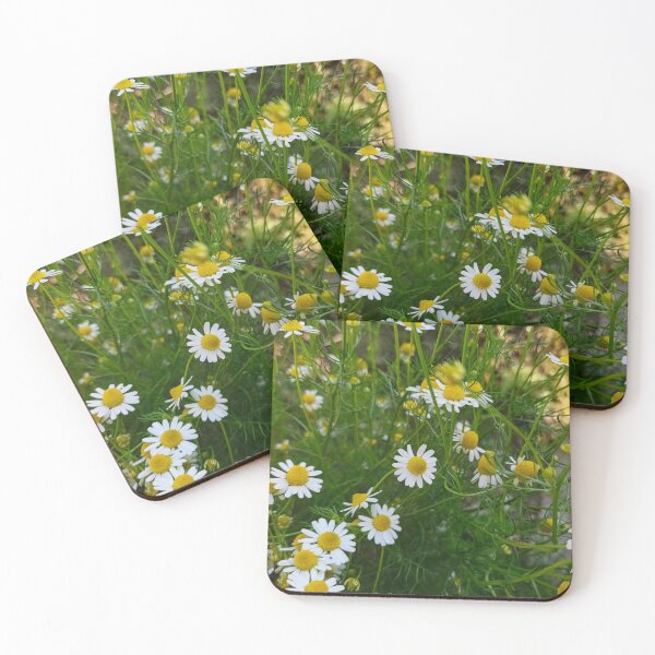 Item preview, Daisies in the Garden: Nature and Freshness designed and sold by katefndz.