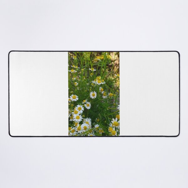 Item preview, Daisies in the Garden: Nature and Freshness designed and sold by katefndz.