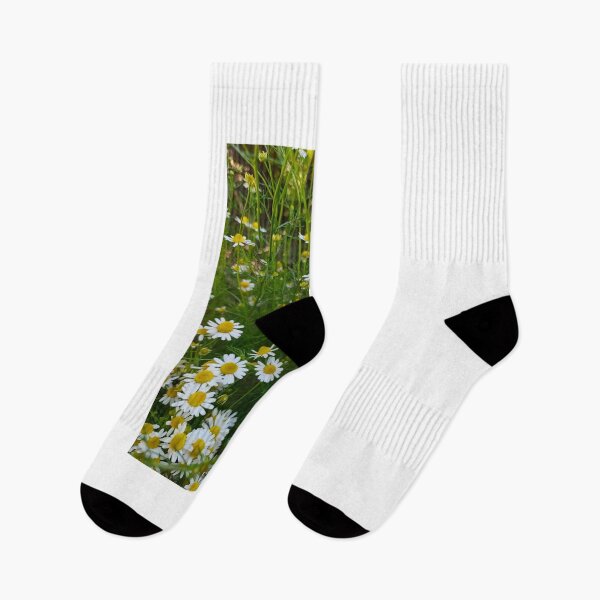 Item preview, Daisies in the Garden: Nature and Freshness designed and sold by katefndz.