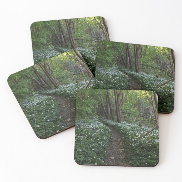 Item preview, Winding Through the Anemones: The Forest Path designed and sold by Pickle Photography .