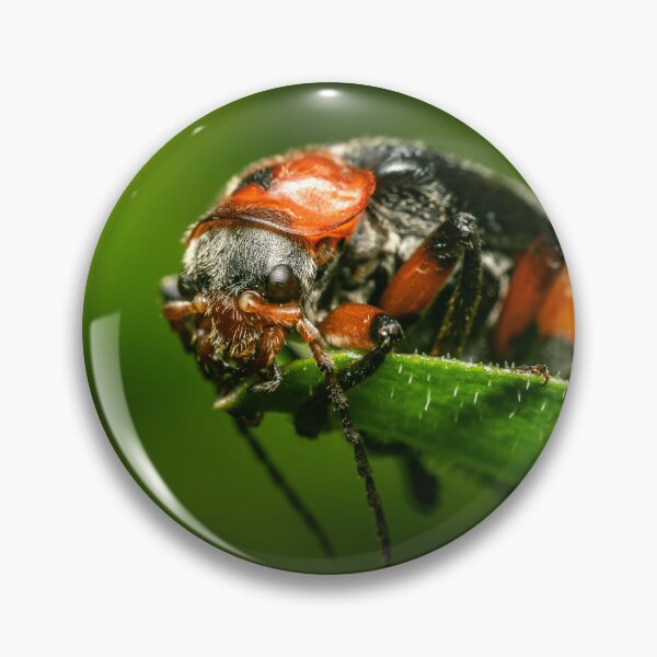 Item preview, Crimson and Jet — Soldier Beetle on a Green Leaf designed and sold by Rabee Khalil Photography.