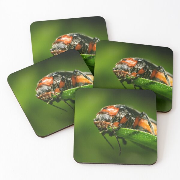 Item preview, Crimson and Jet — Soldier Beetle on a Green Leaf designed and sold by Rabee Khalil Photography.