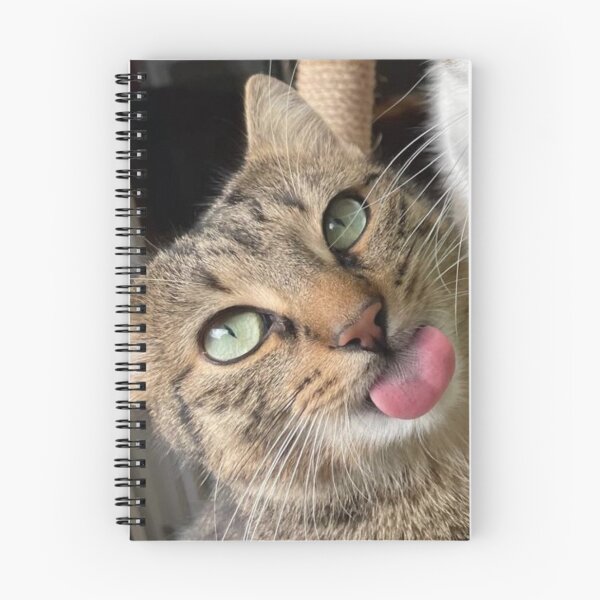 Item preview, mlem designed and sold by proteinpanda.