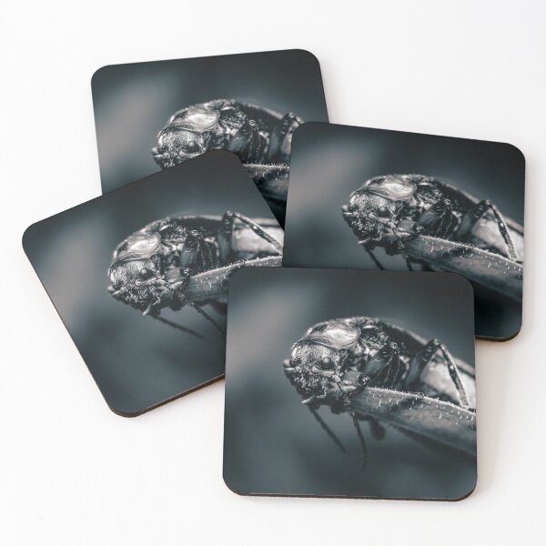 Item preview, Monochrome Guardian — Soldier Beetle designed and sold by Rabee Khalil Photography.