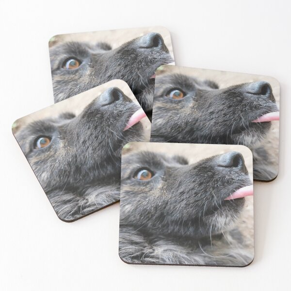 Item preview, Canine happiness designed and sold by katefndz.