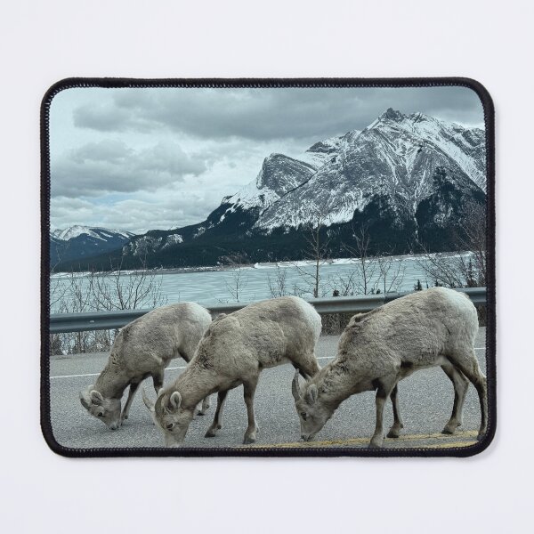 Item preview, Mountain Goat designed and sold by Ulaksimran.
