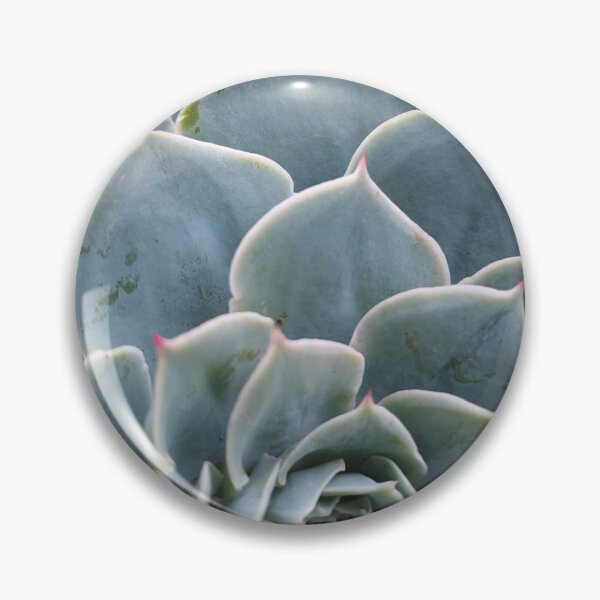 Item preview, Natural Geometry: Succulent in Cool Tones designed and sold by katefndz.