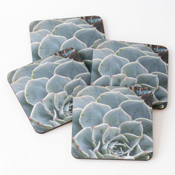 Item preview, Natural Geometry: Succulent in Cool Tones designed and sold by katefndz.