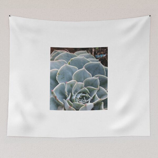 Item preview, Natural Geometry: Succulent in Cool Tones designed and sold by katefndz.
